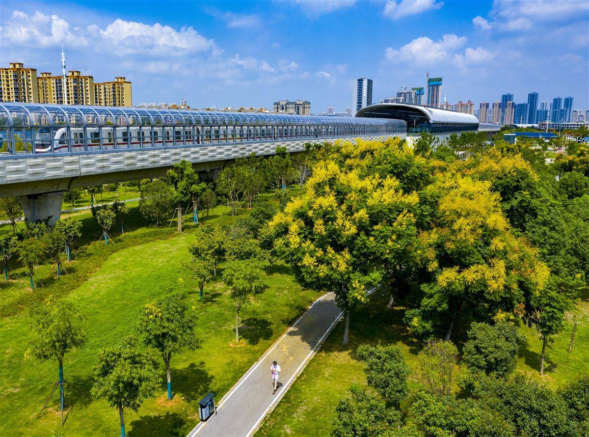 兴发老虎机登录入口